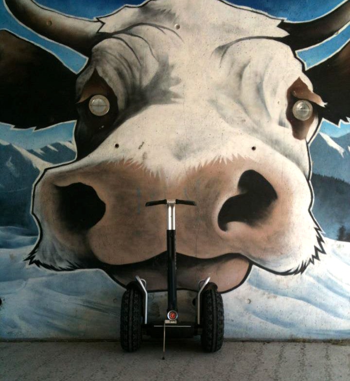 segway-vache