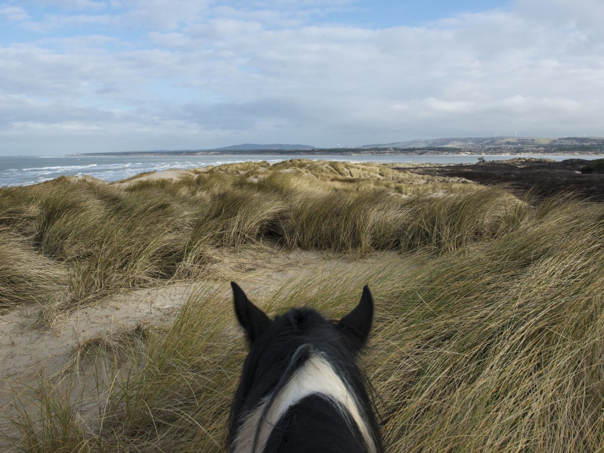 Balade à Cheval sur les plages du Touquet