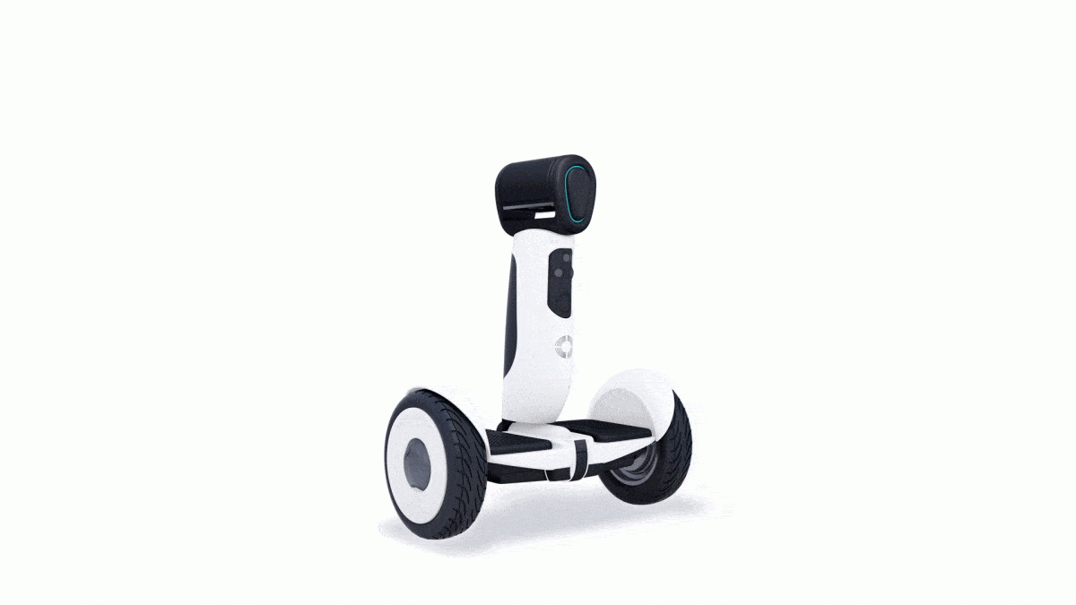 Robot Segway services