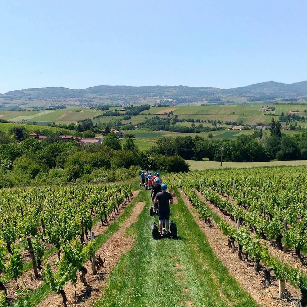 Découverte dégustation vignobles de Villefranche