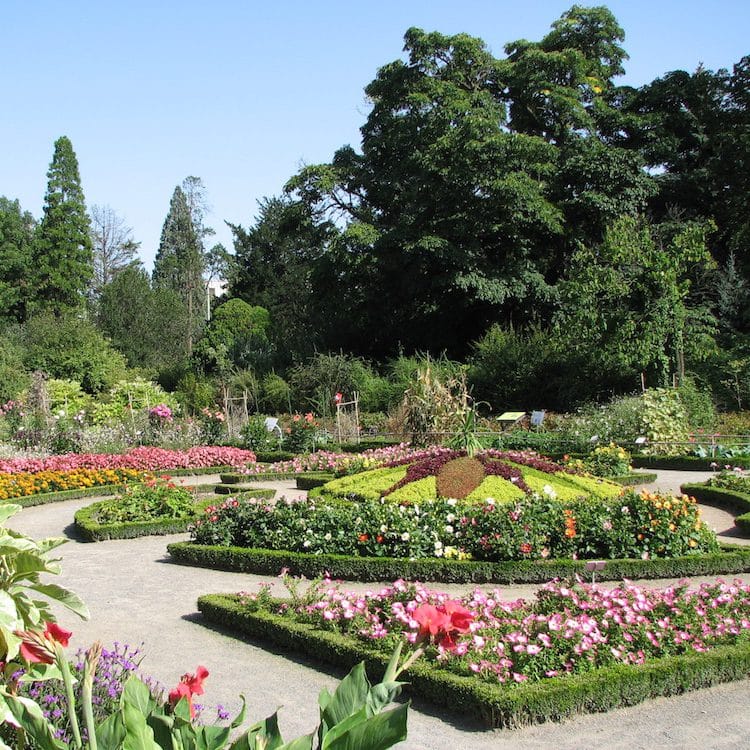 Visiter la Vallée Du Rhône : Jardin botanique Lyon