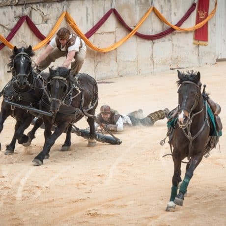 Grands jeux romains Nimes : arènes chevaux