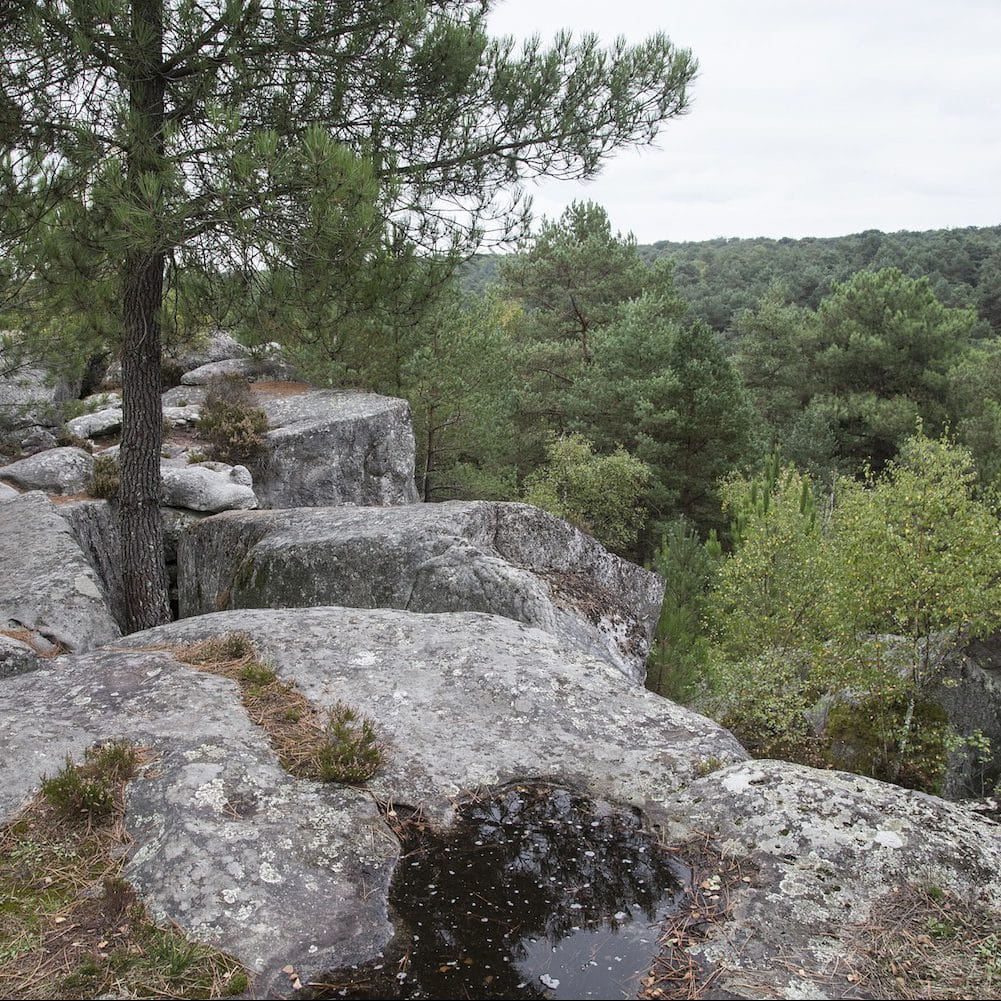 Les plus belles balades en Segway à Fontainebleau