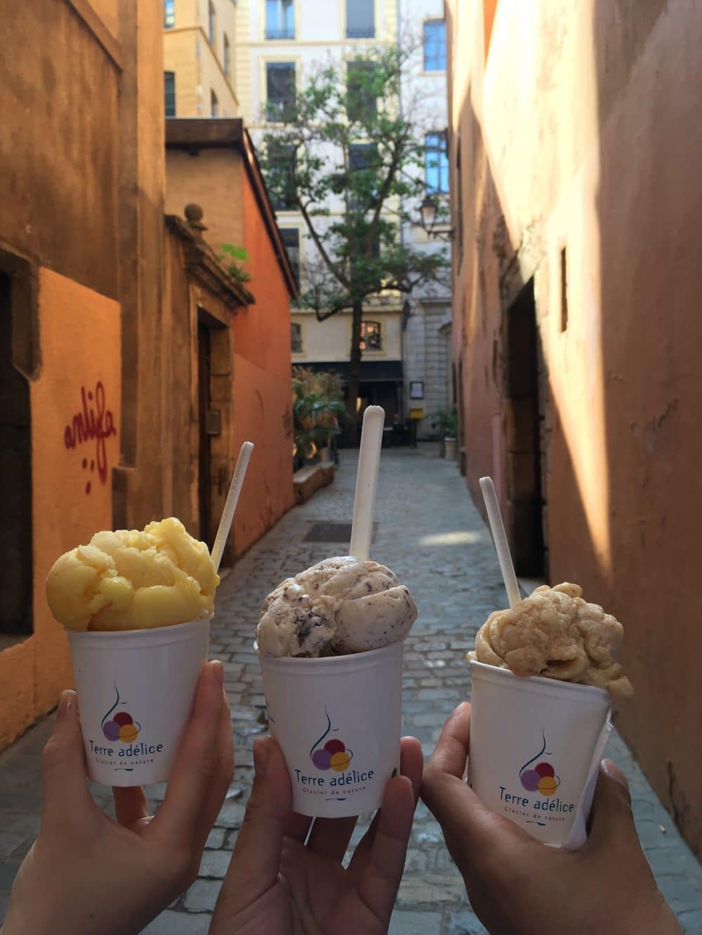 Les glaces Terre Adelice à Lyon