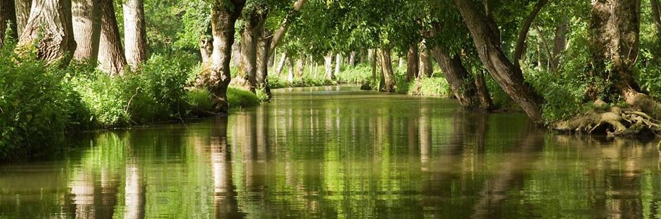 visiter marais poitevin