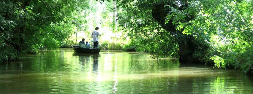 balade barque marais poitevin