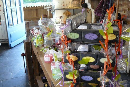 Asinerie Marais Potevin