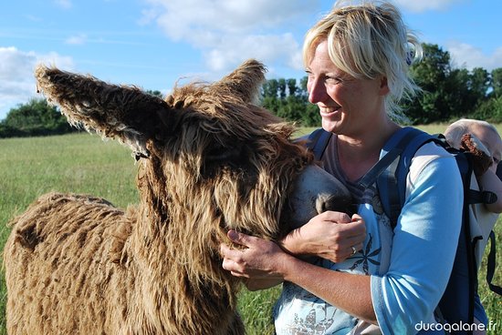 Du Coq à l'Âne Marais Poitevin