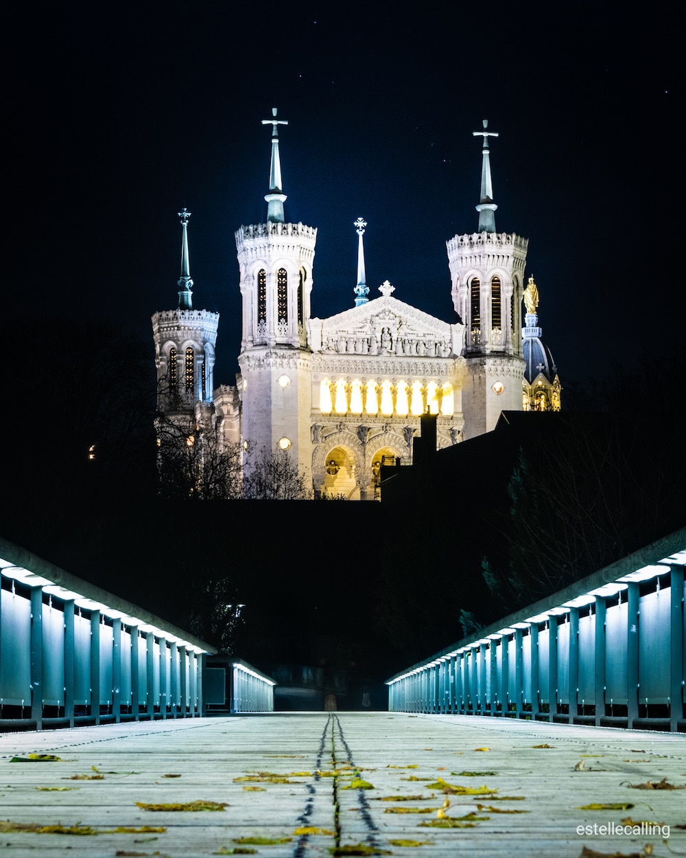Balade en Segway à Fourvière