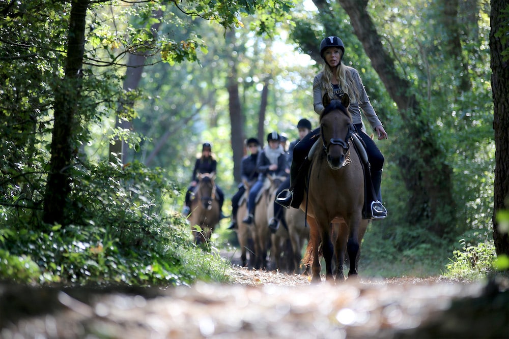 Centre équestre week-end au Touquet