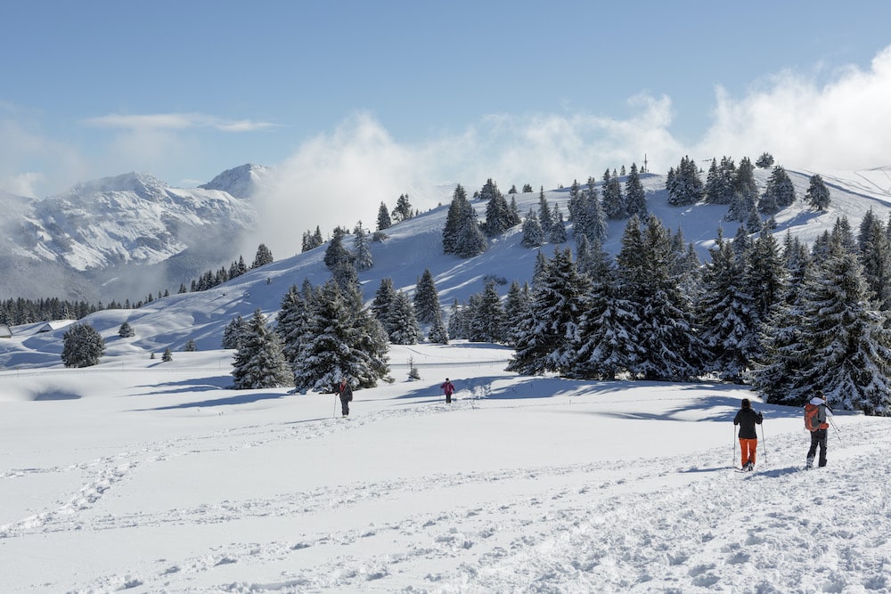 Balade en raquettes à Annecy