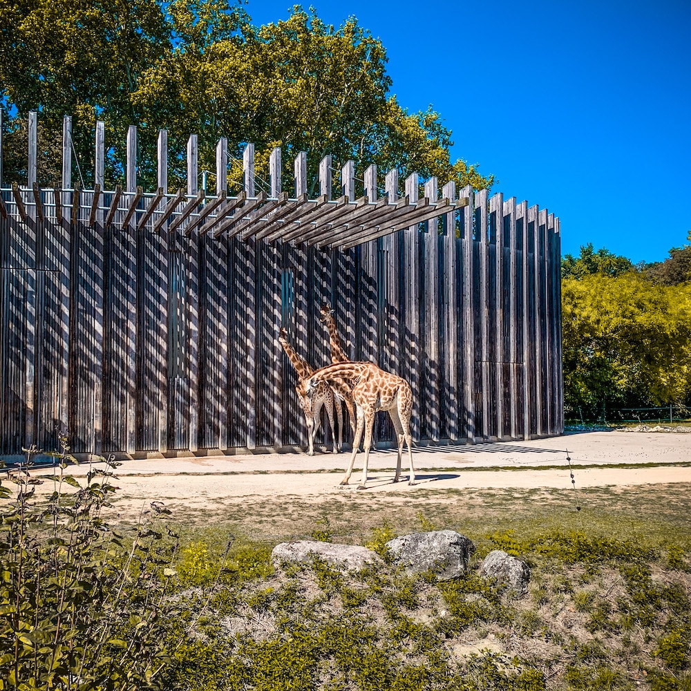week end à lyon en amoureux visites guidées