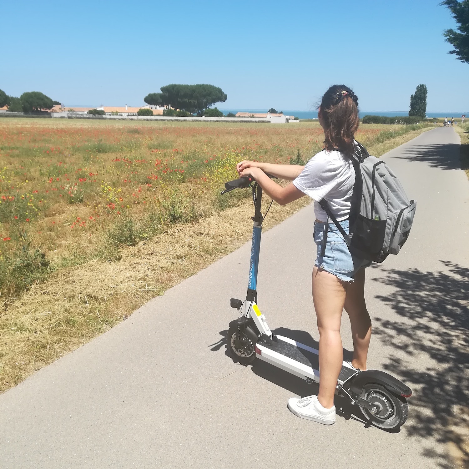 ile de ré la rochelle