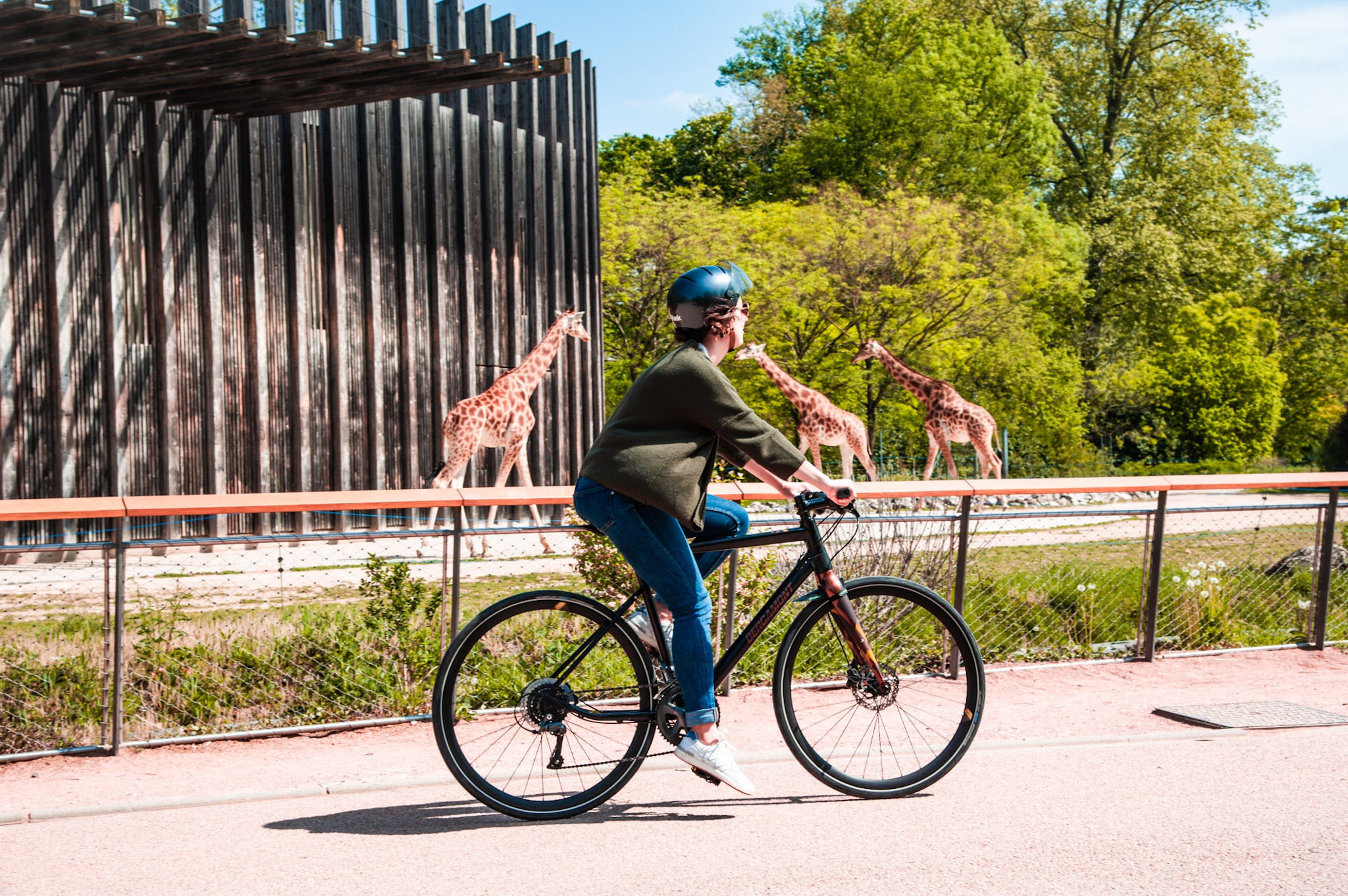 decouvrir-lyon-automne-parc-tete-dor