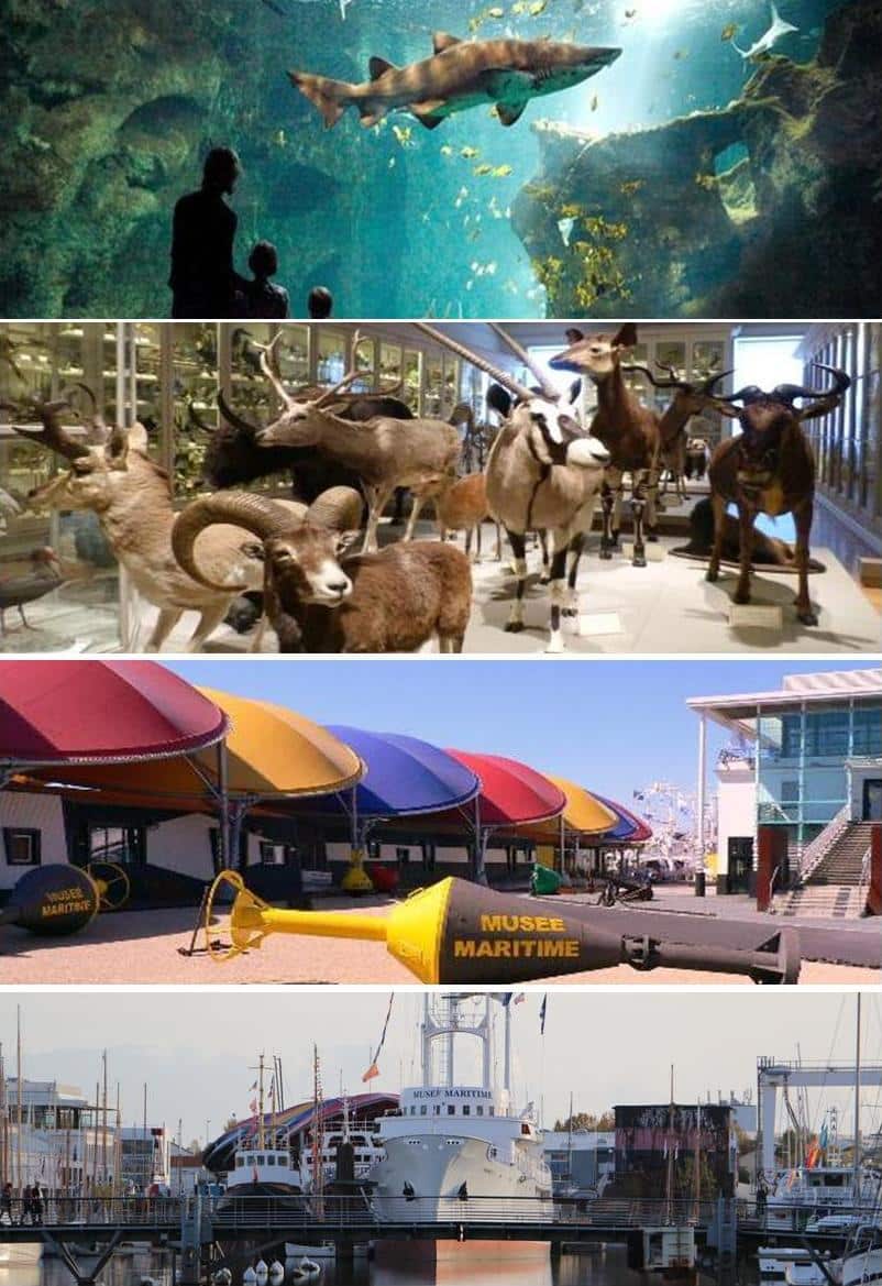 aquarium et muséum d'histoire naturelle La Rochelle
