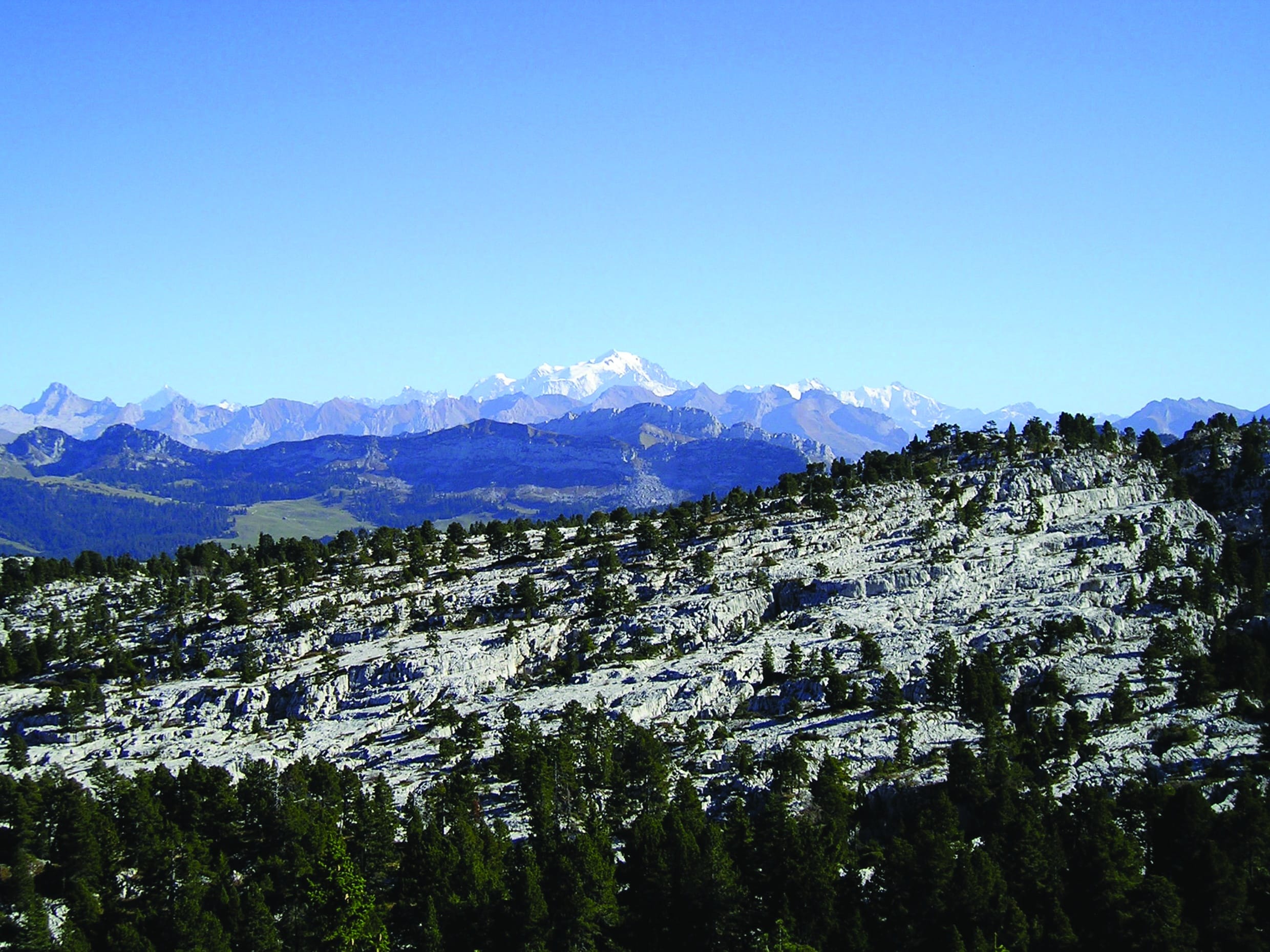 randonnée vue Mont Blanc